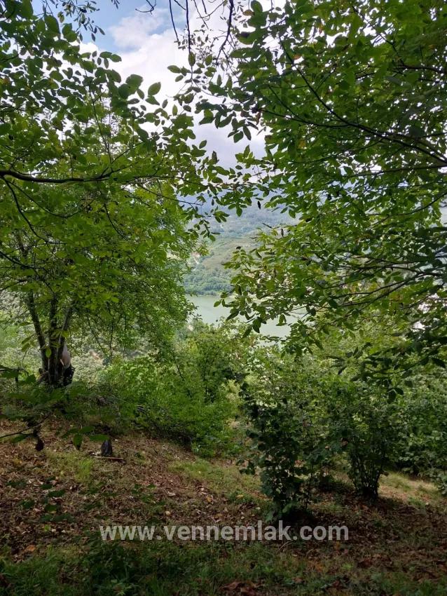 Verstecktes Paradies In Ayvacık mit grünem Flussblick Fichtenbaumgarten