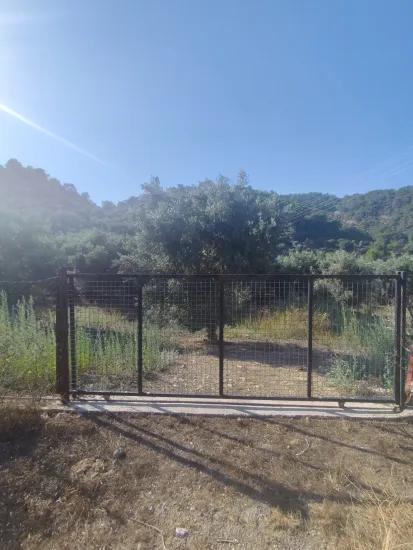 Dorf Çandır Im Köyceğiz zu verkaufen Olivenhain Garten