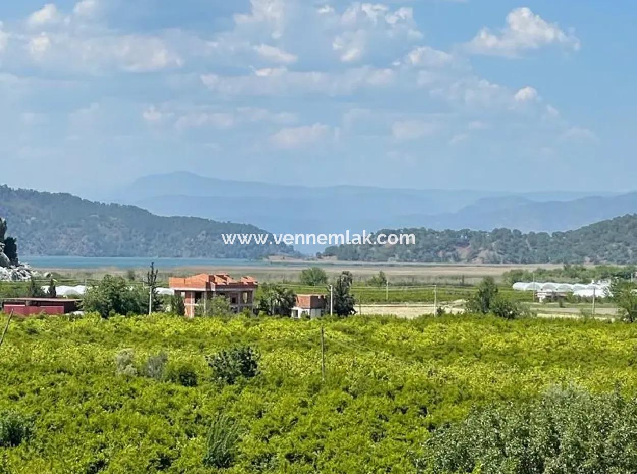 Weingarten Zum Verkauf In Eskikoy Gehäuse