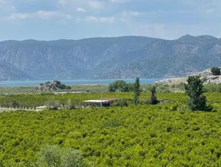 Weingarten Zum Verkauf In Eskikoy Gehäuse