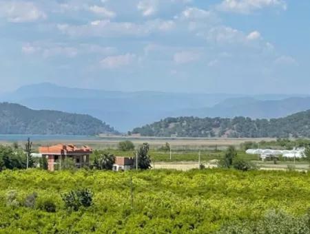 Weingarten Zum Verkauf In Eskikoy Gehäuse