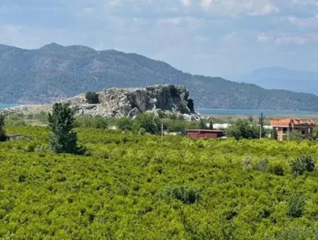 Weingarten Zum Verkauf In Eskikoy Gehäuse