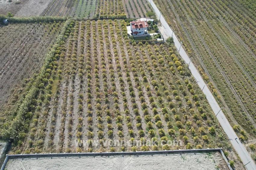In Dalyan Centre, For Sale Lake View Vineyard Garden Land With Zoning