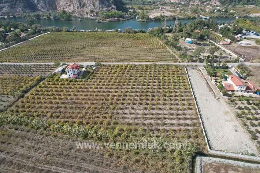 In Dalyan Centre, For Sale Lake View Vineyard Garden Land With Zoning