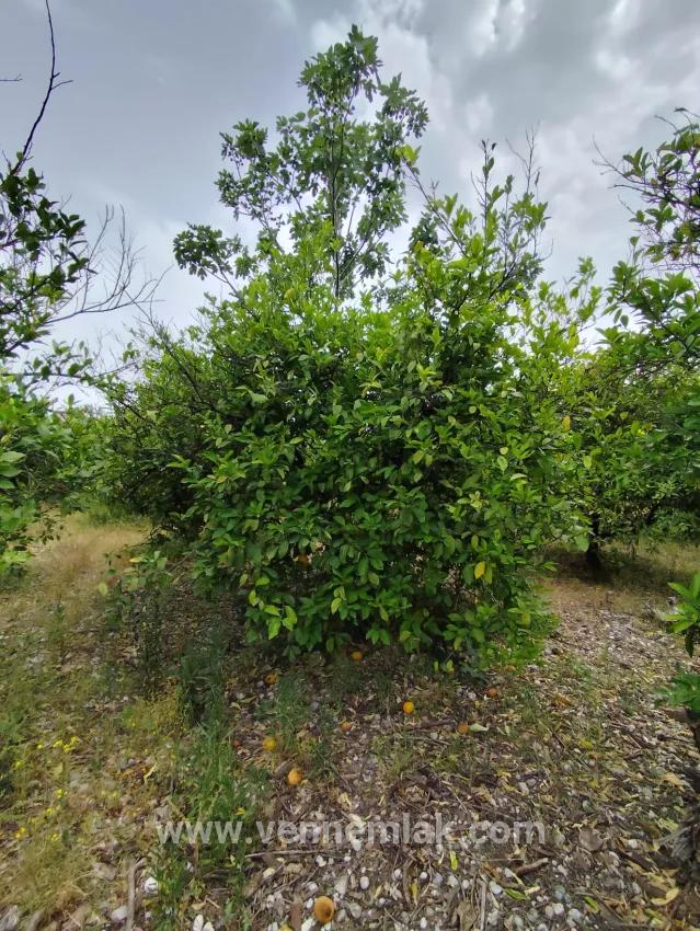 Land For sale in Okçular Nbh. Ortaca - Housing Zoned - 840 m²