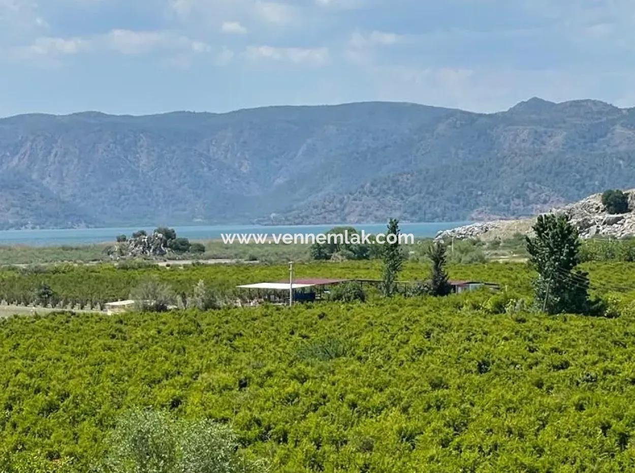 Vineyard Garden For Sale In Eskikoy Housing