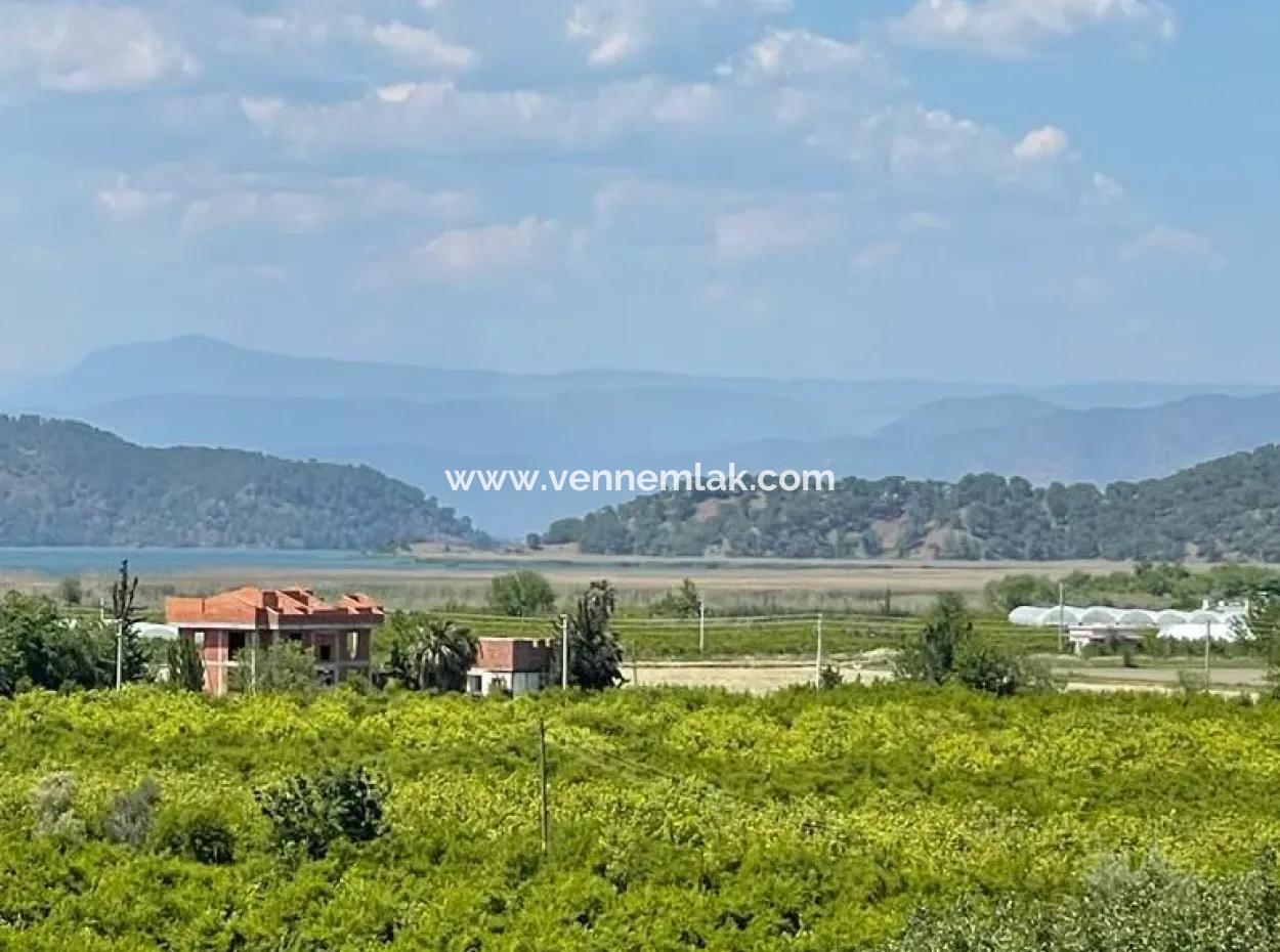 Vineyard Garden For Sale In Eskikoy Housing