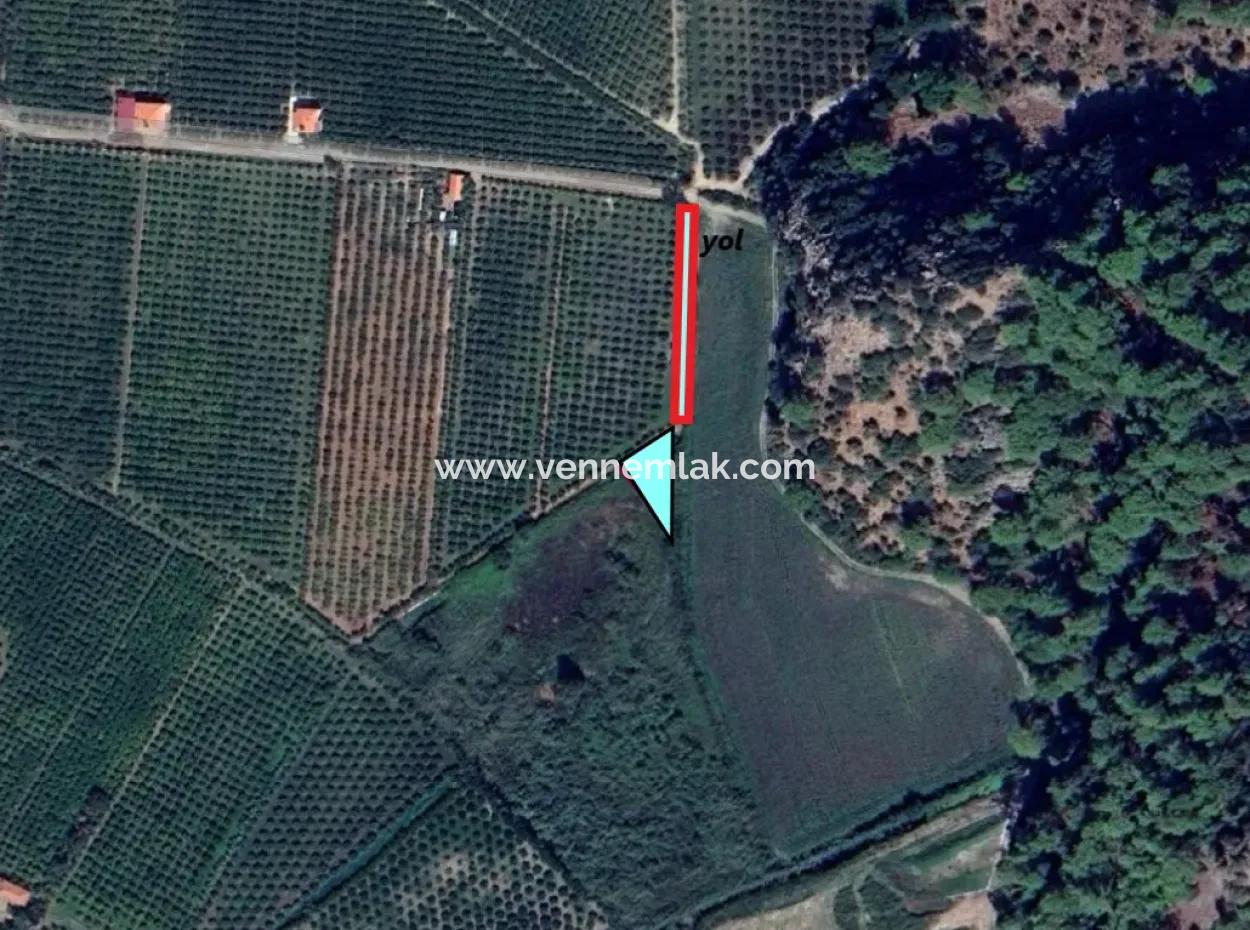 The Only Title Deed Field Close To The Center Of Dalyan