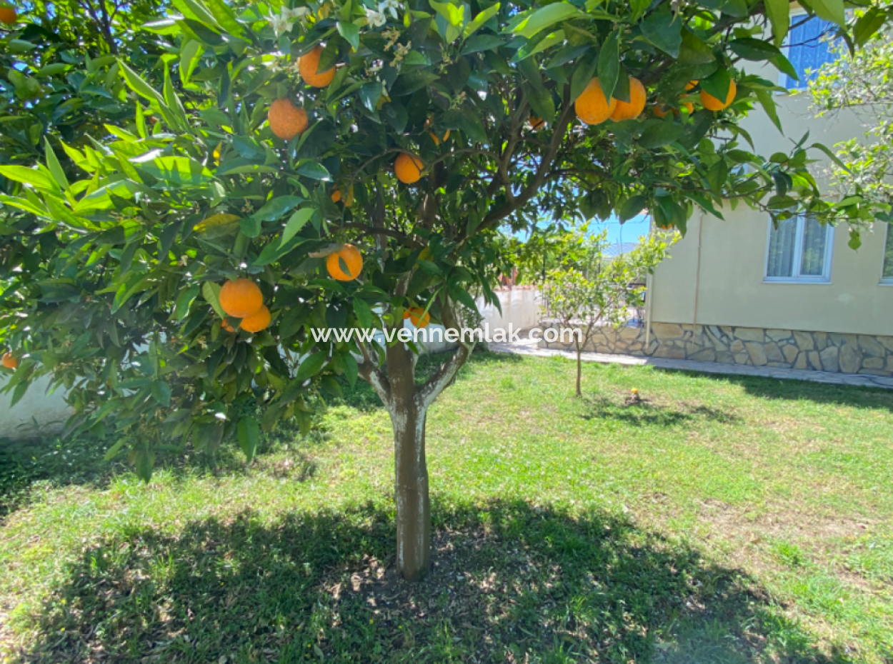 Detached House For Sale In Archers