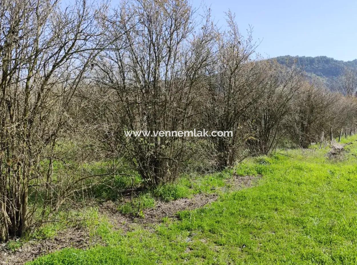Land For Sale In Okçular