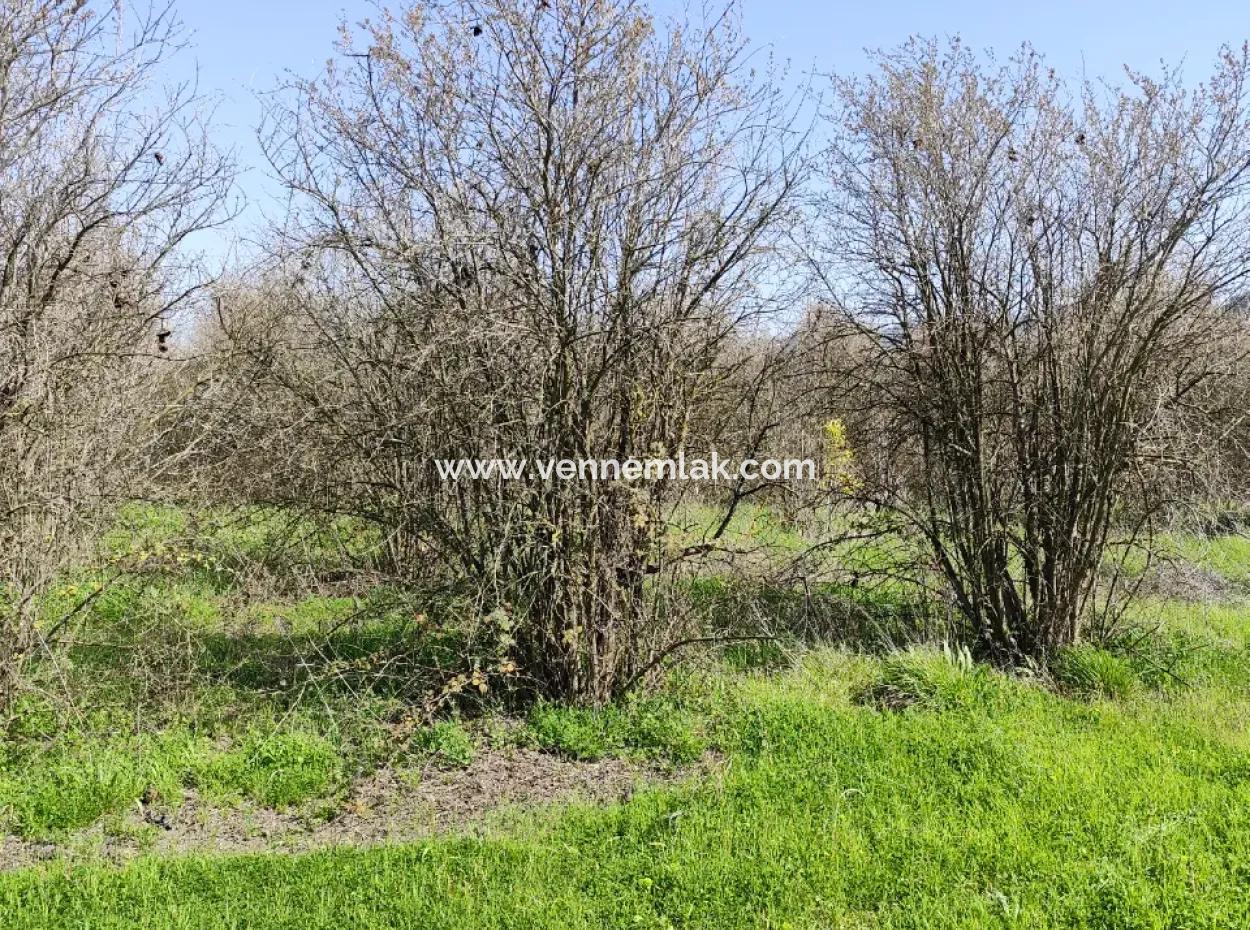 Land For Sale In Okçular