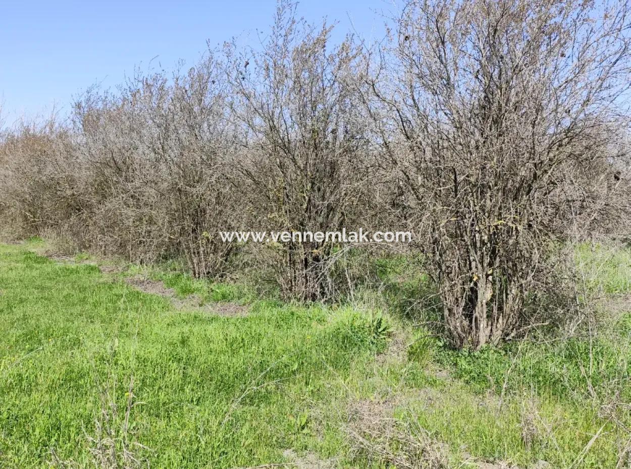 Land For Sale In Okçular