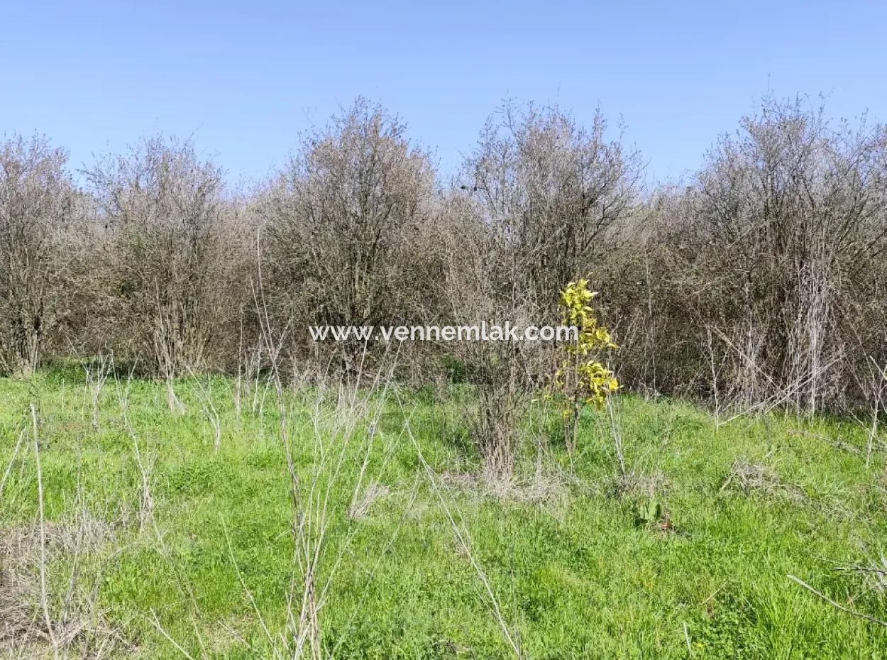 Land For Sale In Okçular