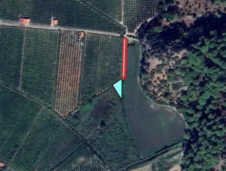 The Only Title Deed Field Close To The Center Of Dalyan