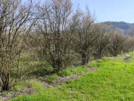Land For Sale In Okçular