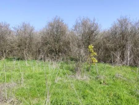 Land For Sale In Okçular