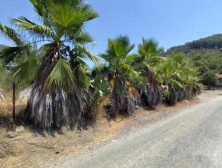 Land For Sale In Gökbel Neighborhood