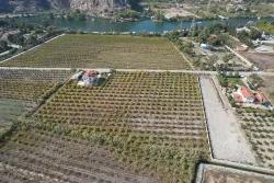 Для продажи Виноградник и сад в Dalyan Ortaca - Под Виноградник и сад застройку - 5.063 m²