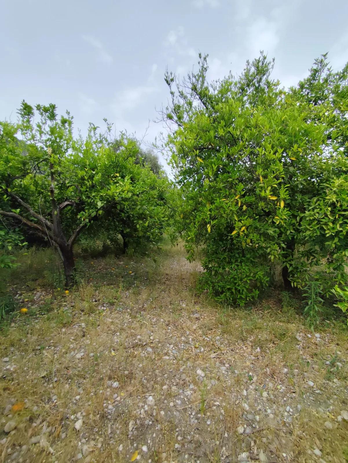 Okçular Mahallesin'de Satılık İmarlı Arsa