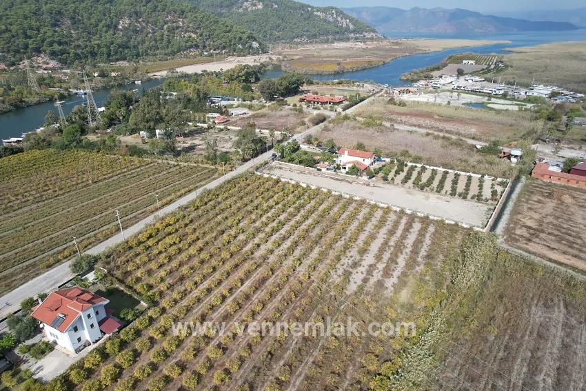 Dalyan Merkez'de Satılık Göl Manzaralı Bağ Bahçe İmarlı Arazi
