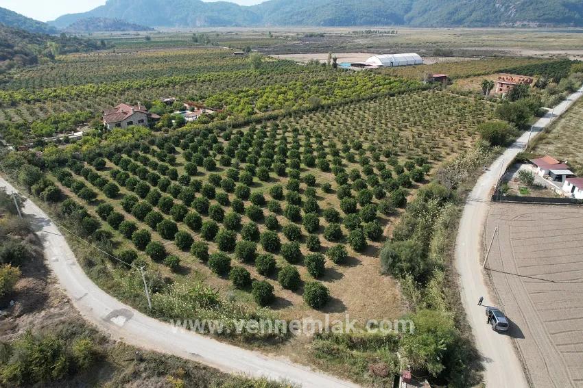 Ortaca Eskiköy Mah. Satılık Bağ & bahçe - Bağ & bahçe İmar Durumlu - 17.000 m²
