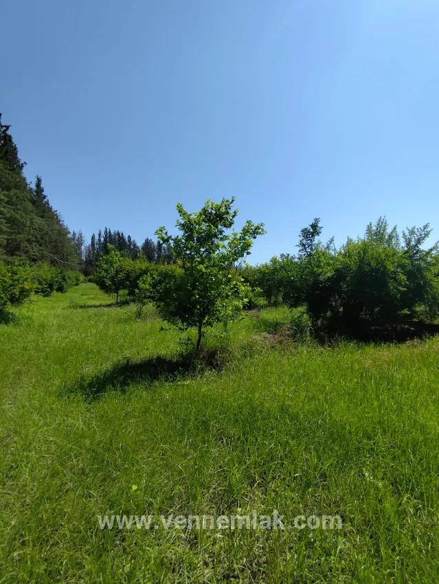 Ortaca Tepearası Mah. Satılık Bağ & bahçe - Bağ & bahçe İmar Durumlu - 18.687 m²