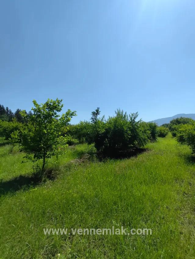 Ortaca Tepearası Mah. Satılık Bağ & bahçe - Bağ & bahçe İmar Durumlu - 18.687 m²