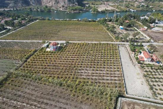 Dalyan Merkez'de Satılık Göl Manzaralı Bağ Bahçe İmarlı Arazi
