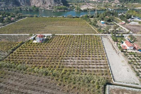 Dalyan Merkez'de Satılık Göl Manzaralı Bağ Bahçe İmarlı Arazi