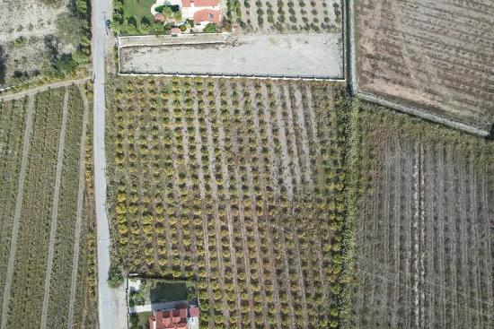 Dalyan Merkez'de Satılık Göl Manzaralı Bağ Bahçe İmarlı Arazi
