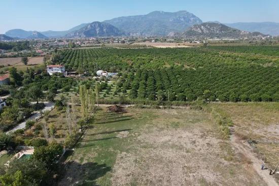 Dalyan Merkeze 2 km.mesafede satılık arsa