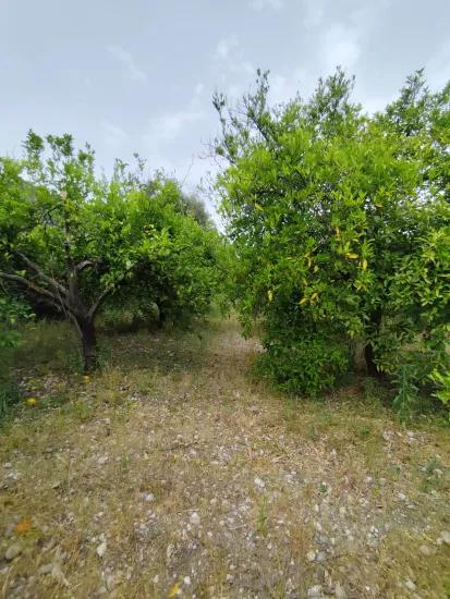 Okçular Mahallesin'de Satılık İmarlı Arsa