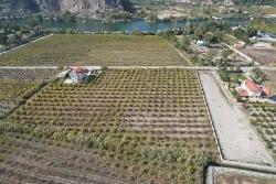 Ortaca Dalyan Mah. Satılık Bağ & bahçe - Bağ & bahçe İmar Durumlu - 5.063 m²