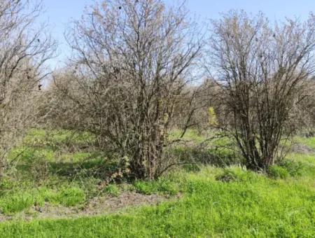 Okçular Mevkisinde Satılık Arsa