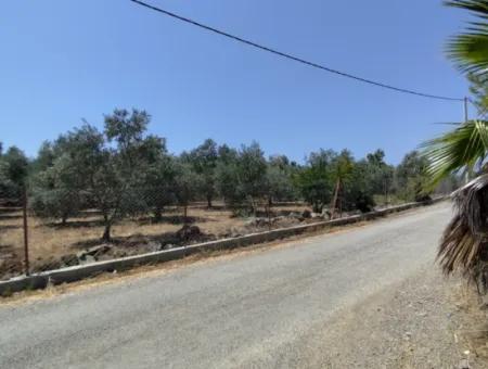 Gökbel Mahallesi'nde Satılık Tarla